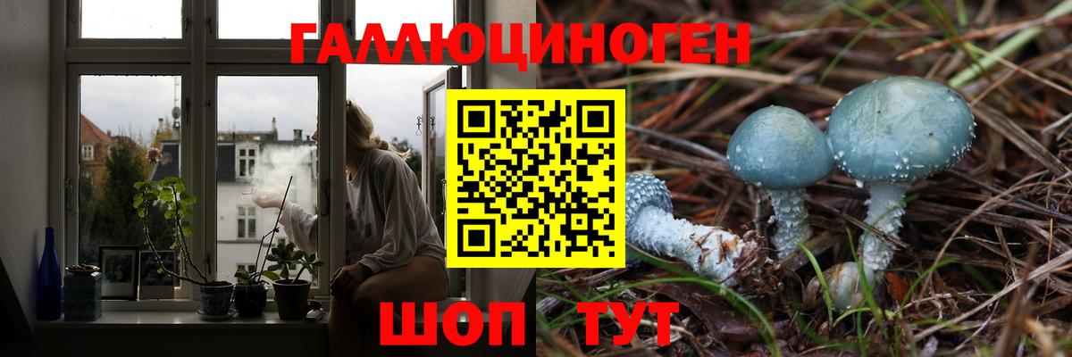 Галлюциногенные грибы мицелий Лобня